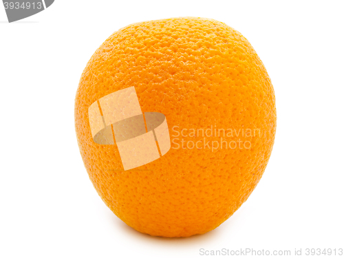 Image of Juicy Orange 