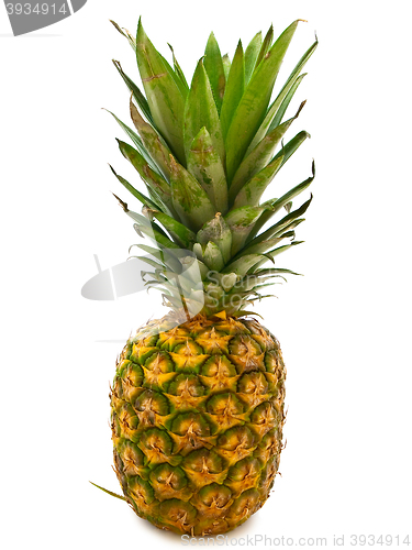 Image of Pineapple 