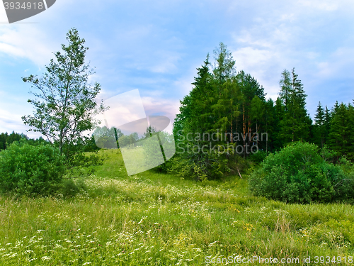 Image of Country Landscape