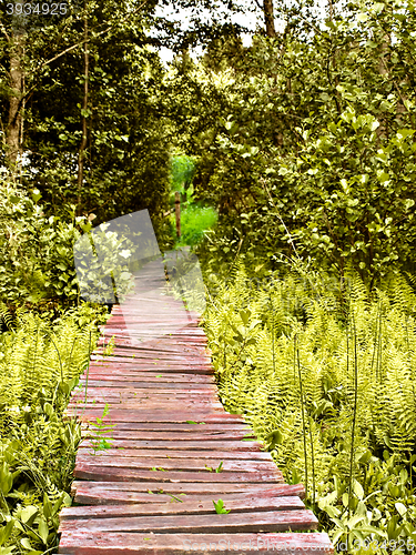 Image of Wooden Road