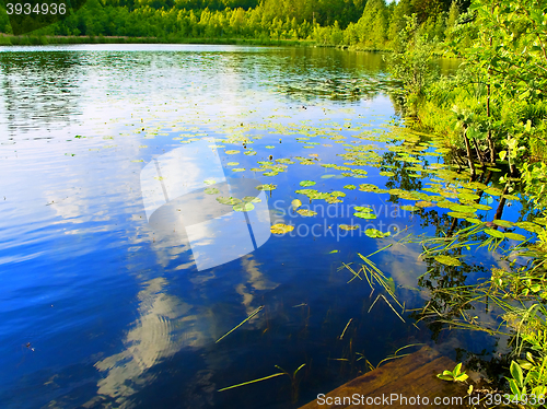 Image of Lake 