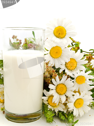 Image of Milk And Camomile