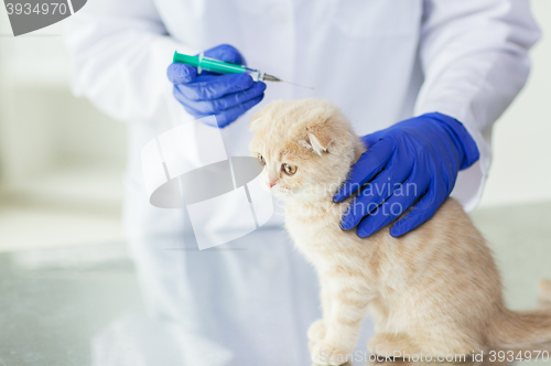 Image of close up of vet making vaccine to kitten at clinic