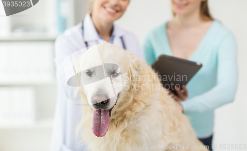 Image of close up of vet with tablet pc and dog at clinic