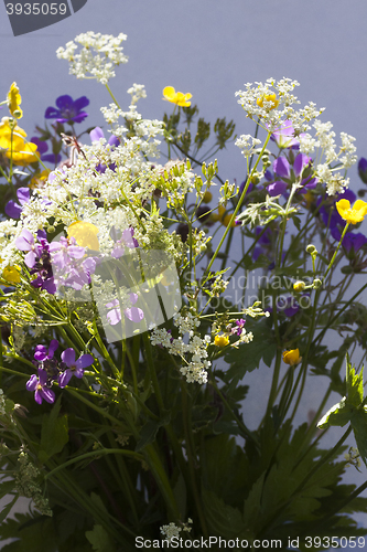 Image of summer flowers