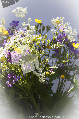 Image of bouquet of wild flowers