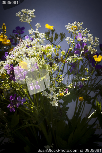 Image of summer flowers