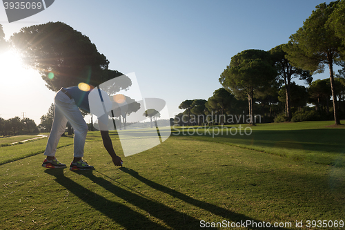 Image of golf player placing ball on tee