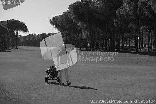 Image of golf player walking with wheel bag