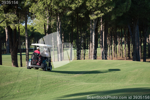 Image of couple in buggy on golf course