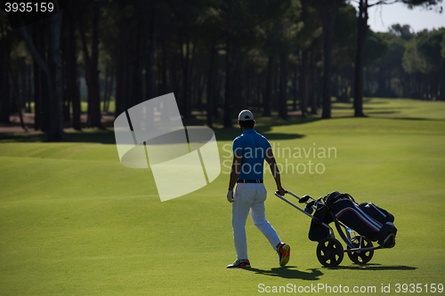 Image of golf player walking with wheel bag