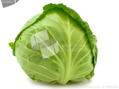 Image of Cabbage 