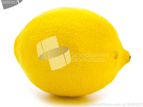 Image of Lemon 