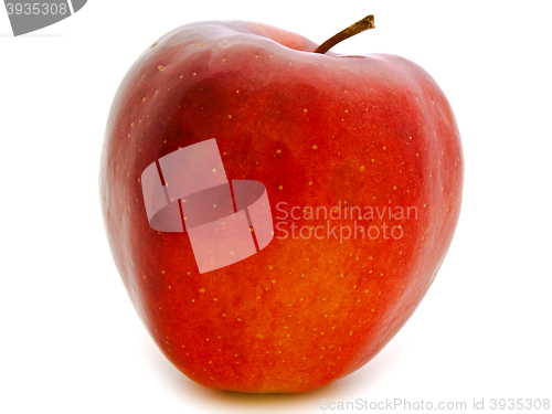 Image of Red Apple