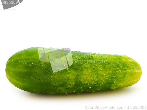 Image of Cucumber 