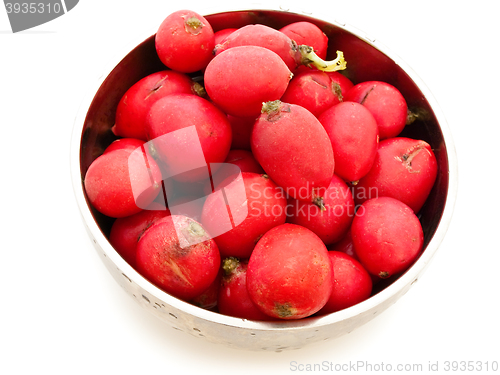 Image of Radish 