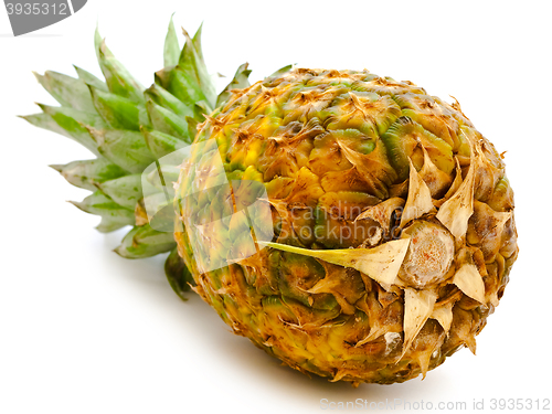 Image of Pineapple 