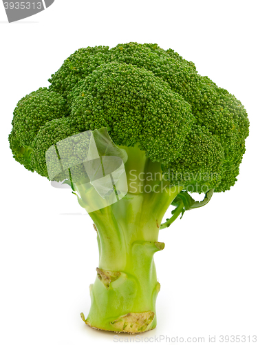 Image of Broccoli 