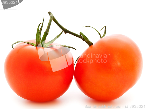 Image of Tomatoes 