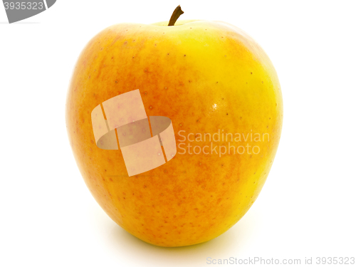 Image of Apple 