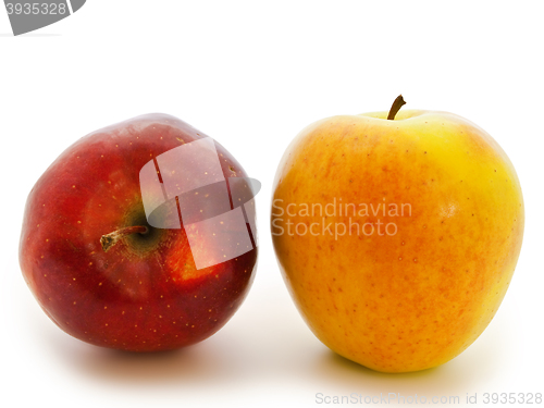 Image of Red And Yellow Apples