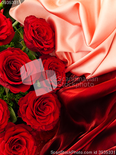 Image of Roses 