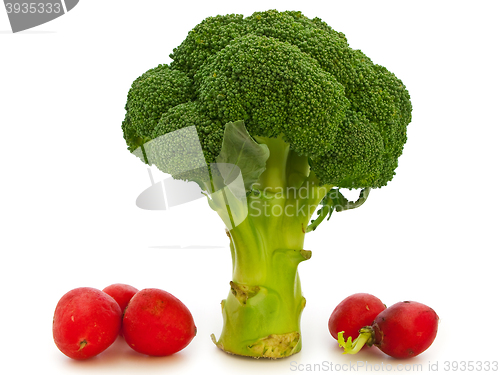 Image of Broccoli And Red Radish