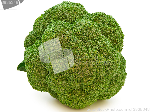 Image of Broccoli 