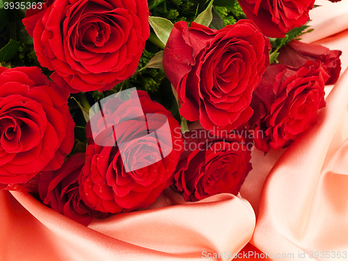 Image of Roses 