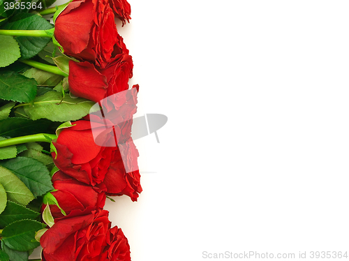Image of Red Roses