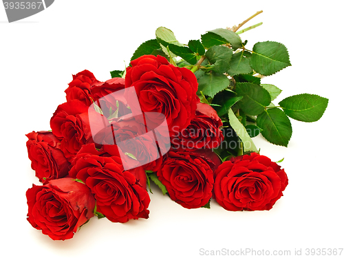 Image of Roses 