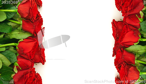 Image of Red Roses
