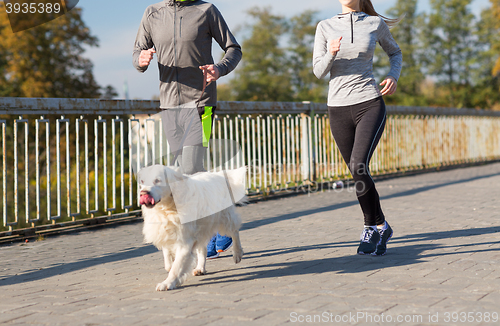 Image of close up of couple with dog running outdoors