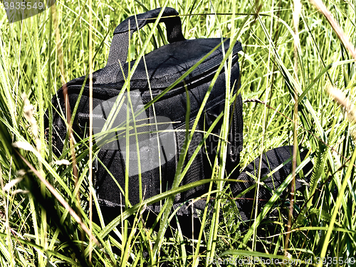 Image of Bag In The Grass