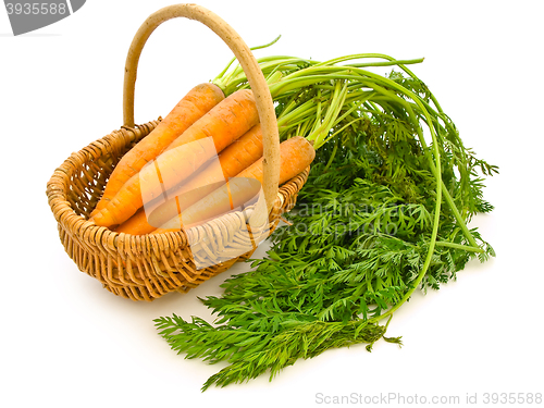 Image of Carrots In A Basket