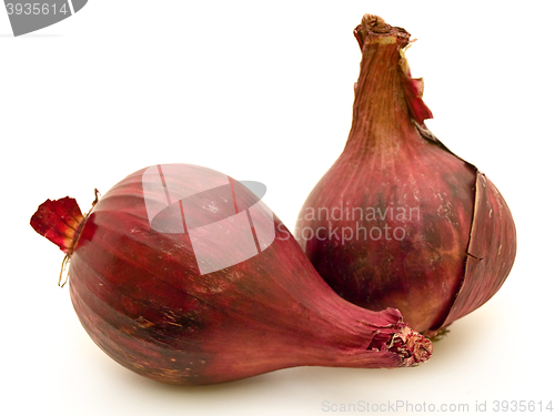 Image of Red Onion