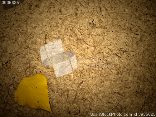 Image of Grunge Background