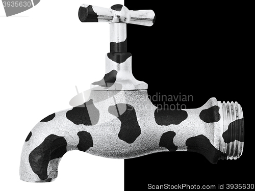 Image of Cow Tap