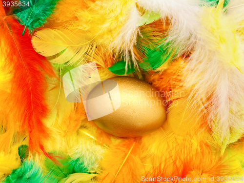 Image of  egg in feathers 