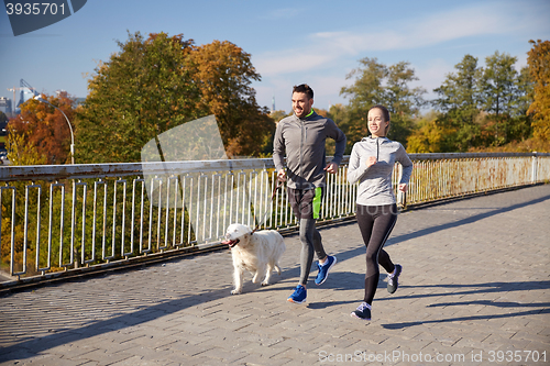 Image of happy couple with dog running outdoors