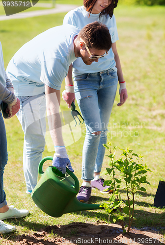 Image of group of volunteers planting and watering tree