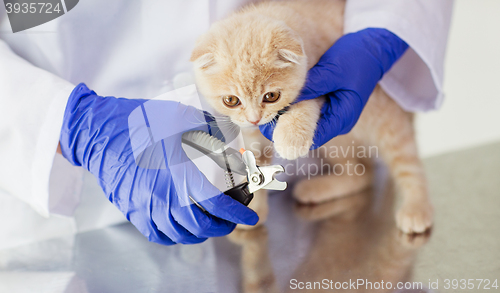 Image of close up of vet with clipper cutting cat nail