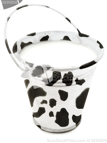 Image of Milk Bucket 