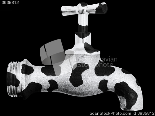 Image of Cow Tap