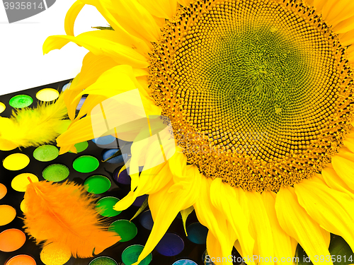 Image of Sunflower 