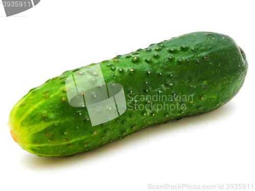 Image of Cucumber 