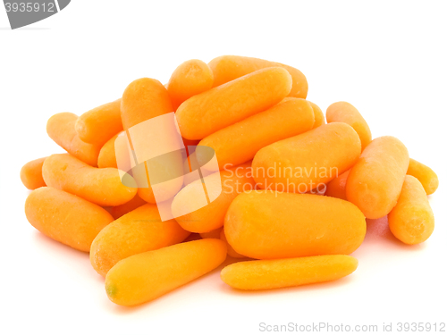 Image of Carrot 