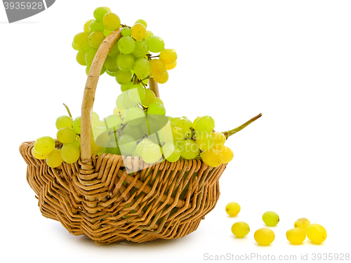 Image of Grape In Basket