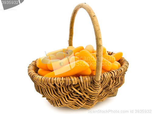 Image of Carrot 