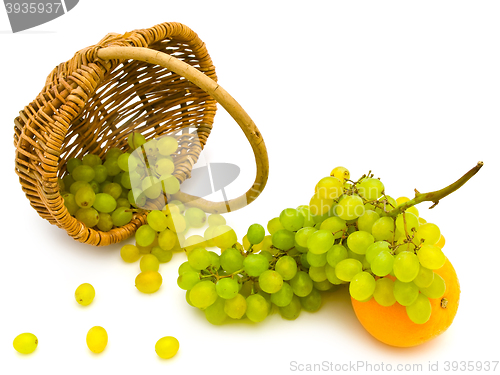 Image of Grape And Orange